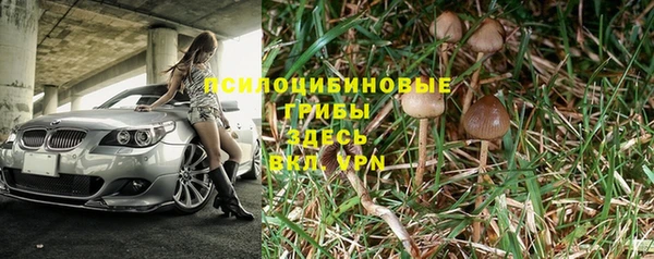 прущие крисы Алзамай
