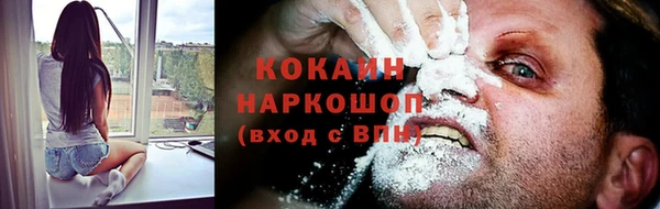 прущие крисы Алзамай