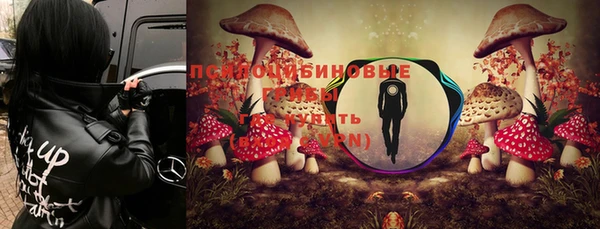 бошки Алексеевка