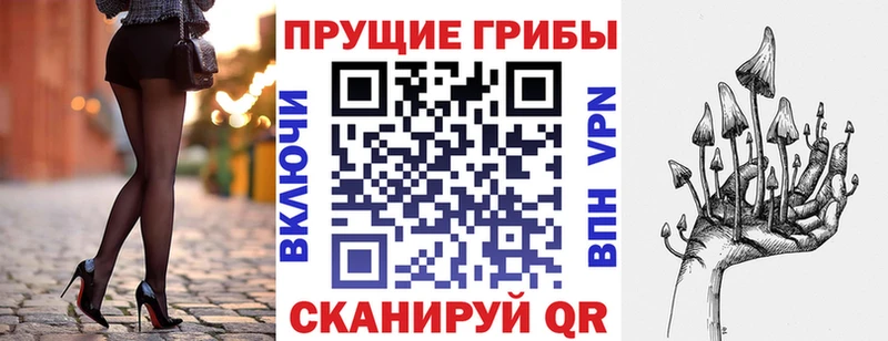 хочу   Оханск  Галлюциногенные грибы Magic Shrooms 